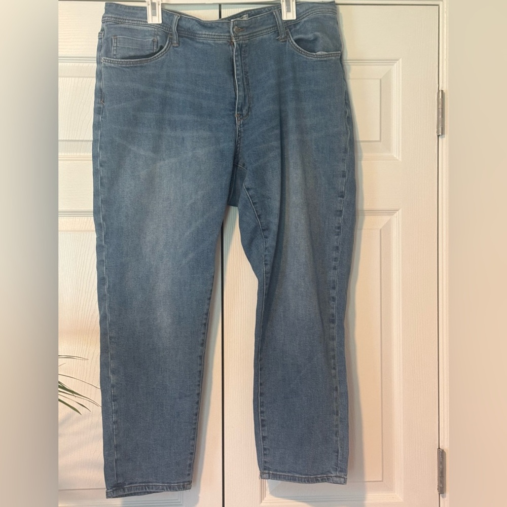 Pilcro, by Anthropologie jeans; 20W